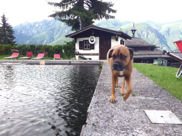 Urlaub mit Hund auf Deutschland schönsten Inseln Ferien mit Hund
